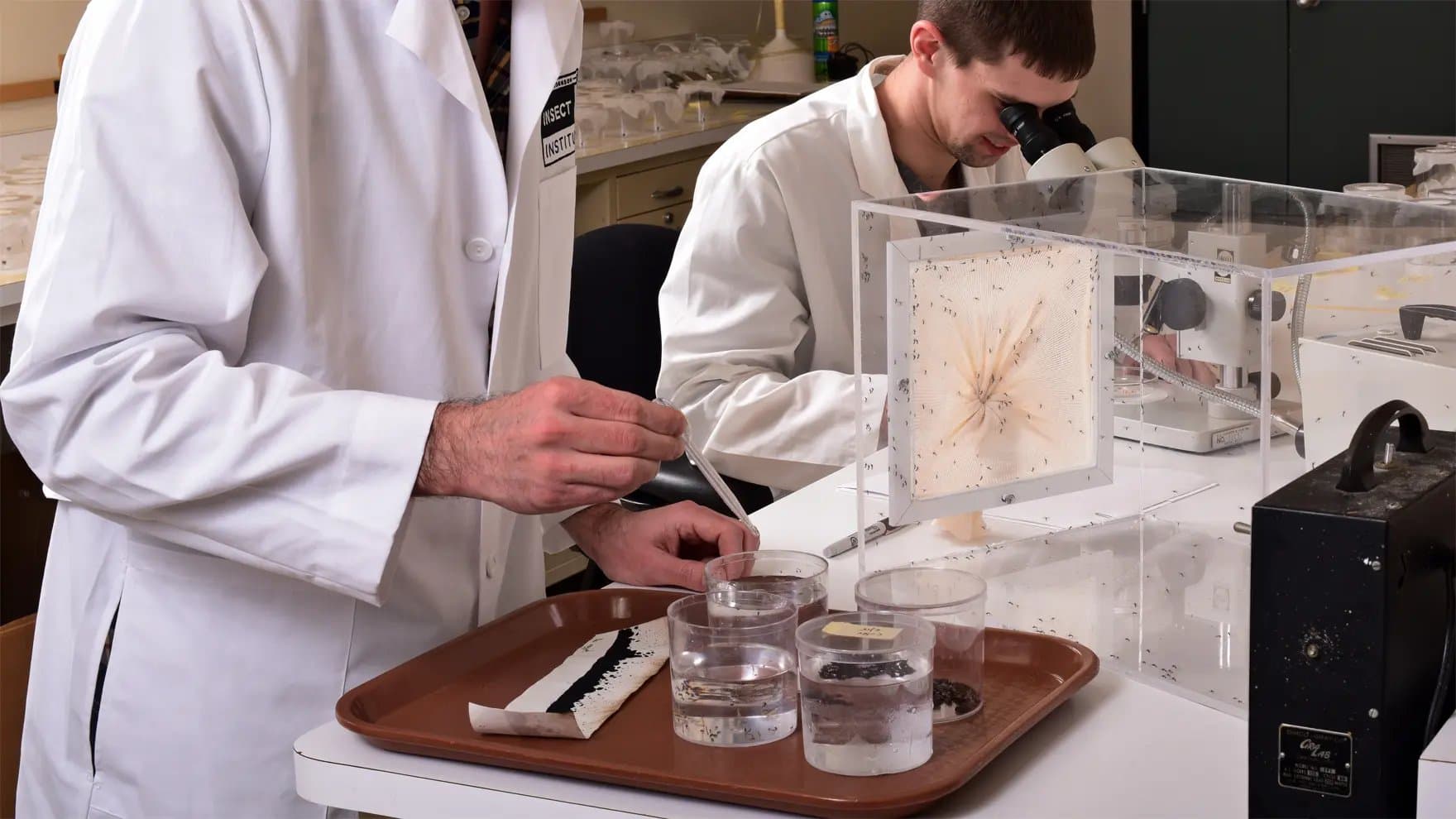 Researchers in white lab coats work in a lab, one using a pipette, the other observing through a microscope. Clear containers with liquids and samples are on a tray.