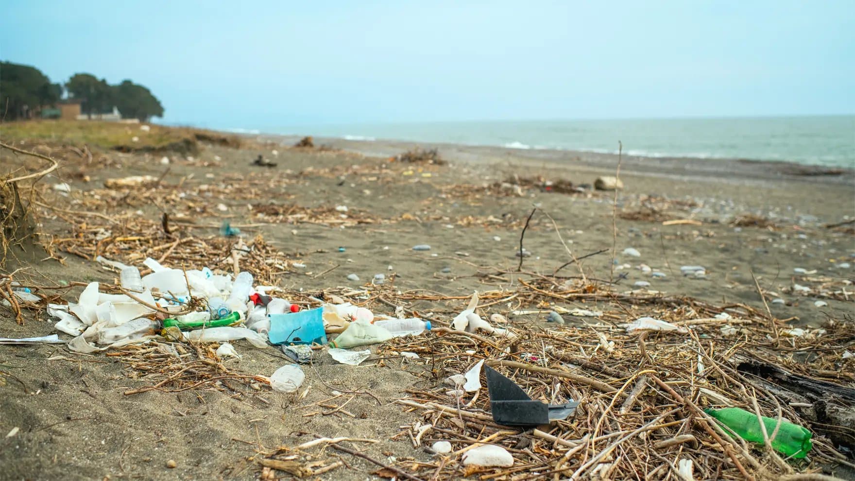 Litter, including plastic bottles and debris, scattered across a sandy beach; distant trees and a hazy sea form the backdrop.