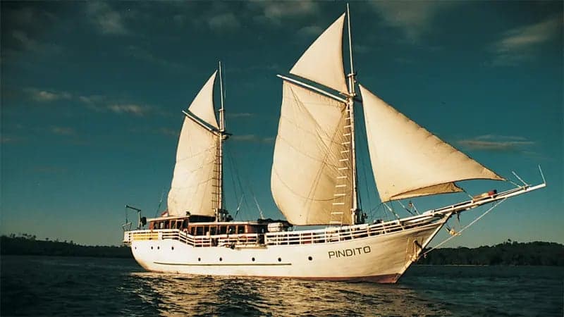 A sailing ship named "Pindito" glides across water with its sails unfurled, surrounded by a calm sea and distant tree-lined coastline under a clear sky.