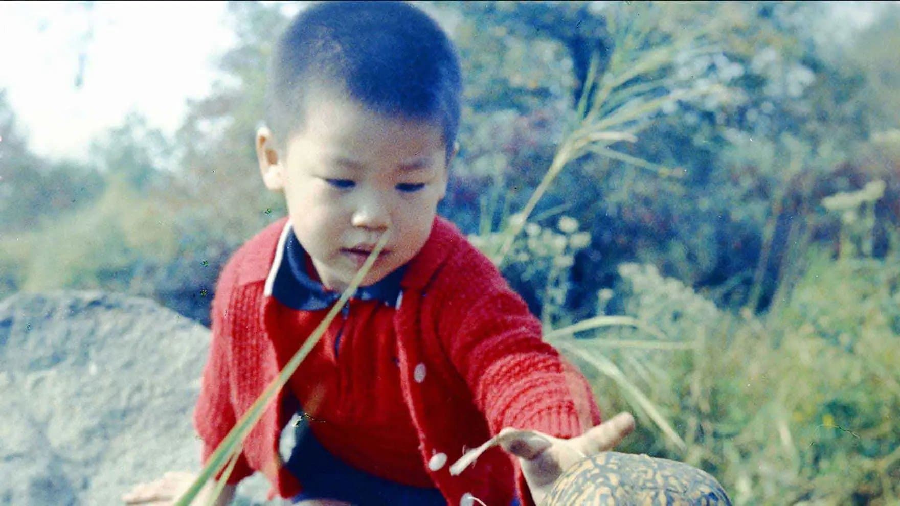 Child wearing a red sweater reaches toward a turtle with a curious expression. They are sitting outdoors among grass and bushes, with a blurred natural background.