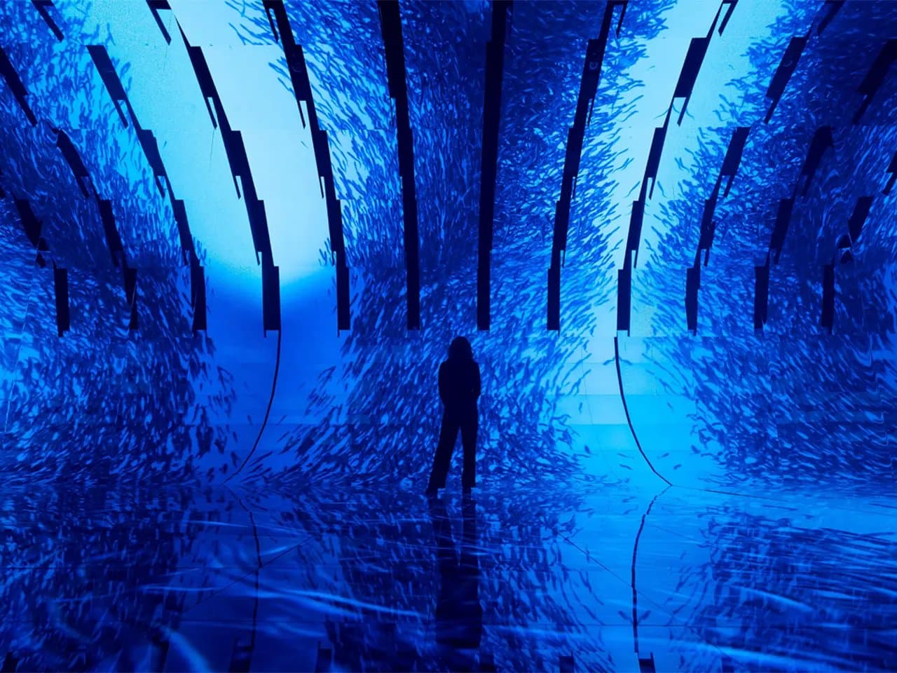 Silhouette of a person standing in an immersive, curved digital installation. Vivid blue light and abstract patterns surround, creating an underwater-like experience. Reflective surfaces enhance the visual effect.