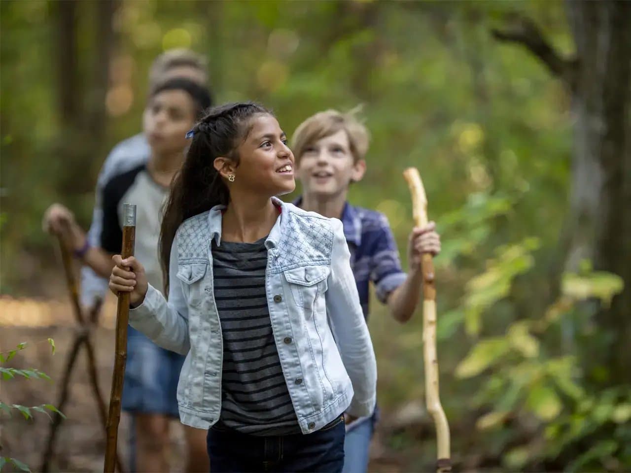 Children walk with sticks through a lush, green forest, smiling and looking upwards. The sunlight filters gently through the trees, creating a warm, inviting atmosphere.