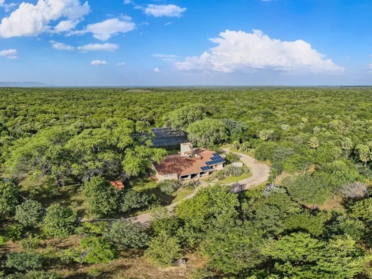 A house with a solar-paneled roof stands amidst a dense, expansive forest under a bright blue sky, with a winding dirt road leading to it.