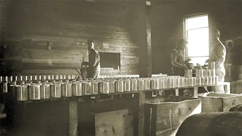 Several workers handle canned goods on a long wooden table, situated in a dimly lit room with a single window allowing light. The scene depicts an early 20th-century cannery setting.