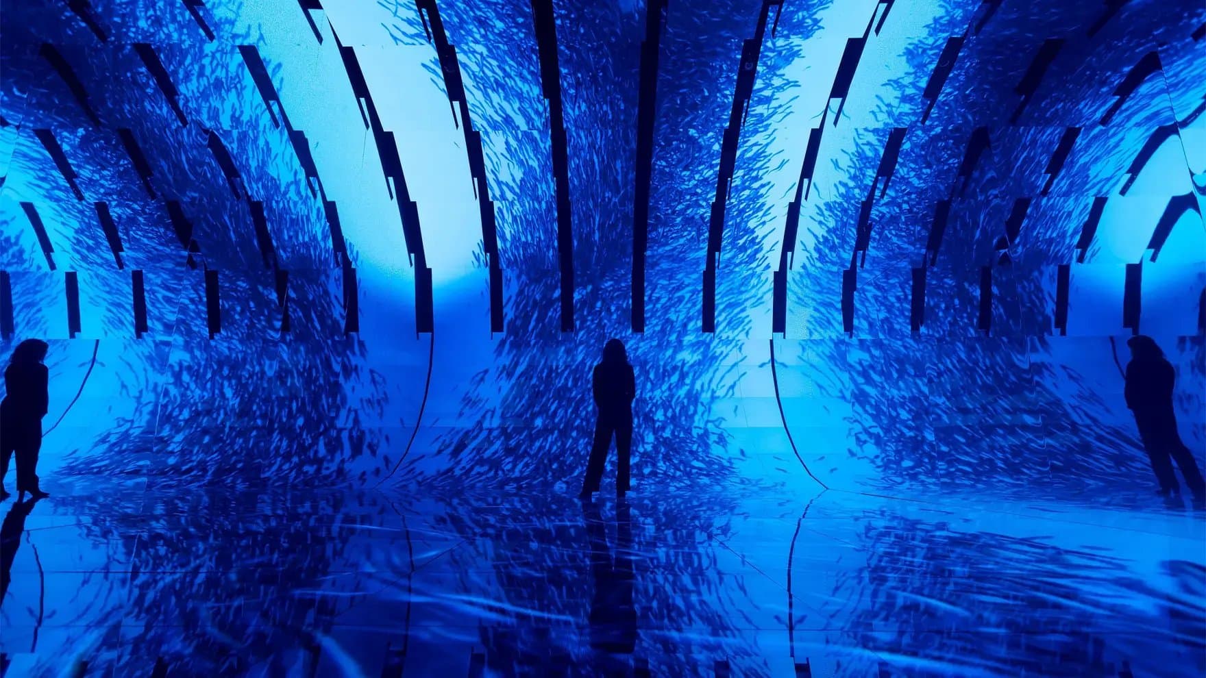 A person stands surrounded by an immersive digital display of swirling blue patterns, resembling a school of fish, within a curved, illuminated room, creating a mesmerizing aquatic atmosphere.