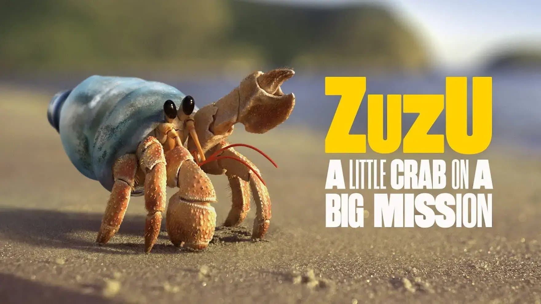 A crab on the seashore.