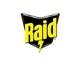 The image shows a black shield with the word "Raid" in bold yellow letters and a yellow lightning bolt underneath, symbolizing power or action.