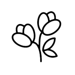A simple black line drawing depicts two stylized flowers with oval petals and two leaves, arranged symmetrically. The design is set against a plain white background.